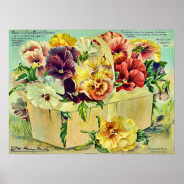 Colorful Pansy Flowers Seed Packet Hoesje Poster