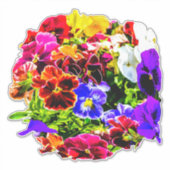 Colorful Pansy Flowers Sticker (Voorkant)