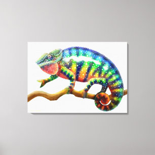 Colorful Panther Chameleon Lizard Wrapped Canvas Afdruk