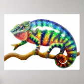 Colorful Panther Chameleon Print (Voorkant)