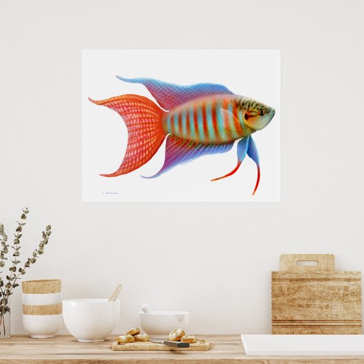 Colorful Paradise Gourami Fish Print (Keuken)