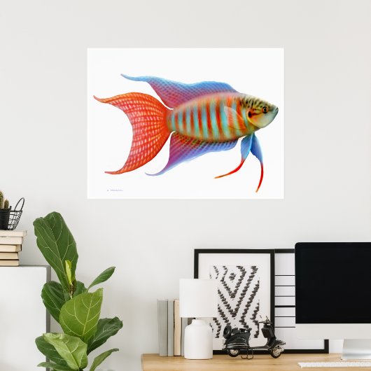 Colorful Paradise Gourami Fish Print (Thuiskantoor)