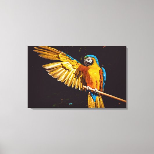 Colorful Parakeet Bird Canvas Afdruk (Voorkant)