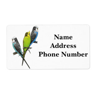 Colorful Parakeets Afbeelding Etiket