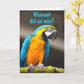 Colorful Parrot Belated Birthday Sjabloon (Gele Bloem)