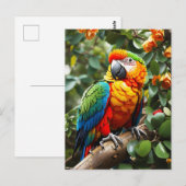 Colorful Parrot Briefkaart (Voorkant / Achterkant)