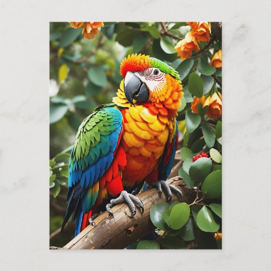 Colorful Parrot Briefkaart (Voorkant)