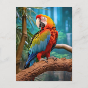 Colorful Parrot Briefkaart