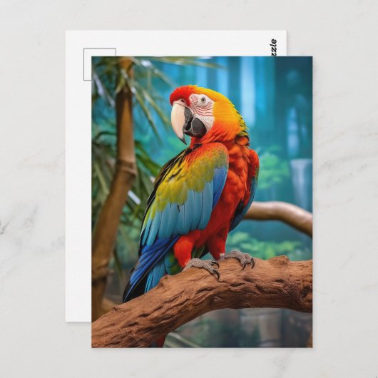 Colorful Parrot Briefkaart (Voorkant / Achterkant)