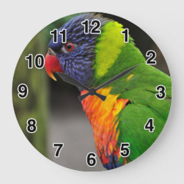 Colorful Parrot Clock Grote Klok