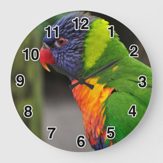 Colorful Parrot Clock Grote Klok (Voorkant)