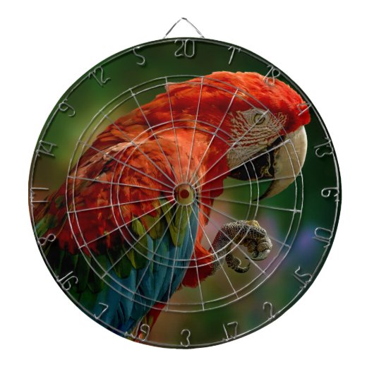 Colorful Parrot Dartbord (Voorkant)