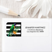 Colorful Parrot Etiket (Insitu)