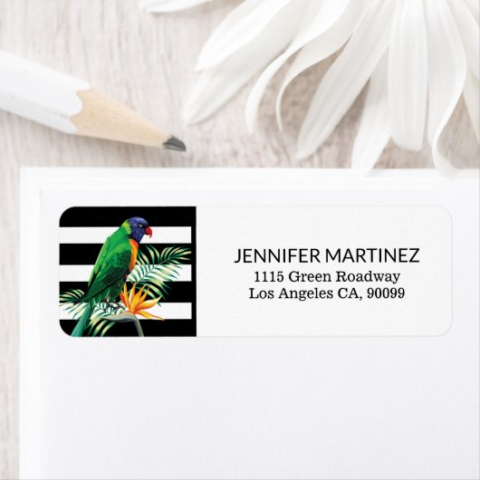 Colorful Parrot Etiket (Insitu)