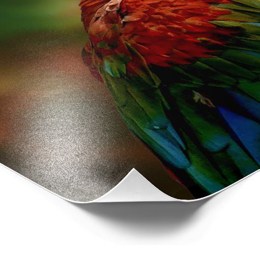 Colorful Parrot Foto Afdruk (Hoek)