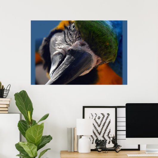Colorful Parrot Macaw Bird Poster (Thuiskantoor)