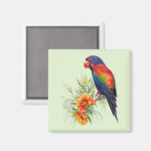 Colorful Parrot Magneet (Voorkant / Achterkant)