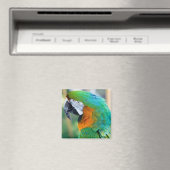 Colorful Parrot Magnet (Insitu (Vaatwasser))