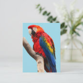 Colorful Parrot Portrait Photo Briefkaart (Staand voorkant)