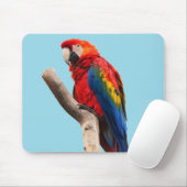 Colorful Parrot Portrait Photo Muismat (Met muis)