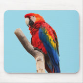 Colorful Parrot Portrait Photo Muismat (Voorkant)