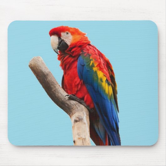 Colorful Parrot Portrait Photo Muismat (Voorkant)