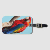 Colorful Parrot Portret Foto Bagagelabel (Voorkant (horizontaal))