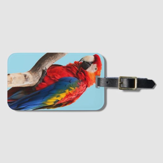 Colorful Parrot Portret Foto Bagagelabel (Voorkant (horizontaal))