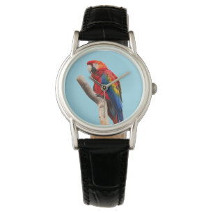 Colorful Parrot Portret Foto Horloge