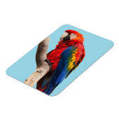 Colorful Parrot Portret Foto Magneet (Linkerzijde)