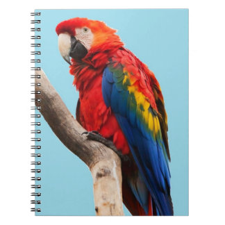 Colorful Parrot Portret Foto Notitieboek