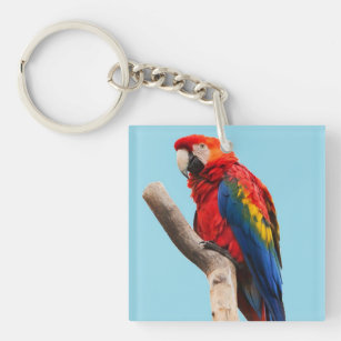Colorful Parrot Portret Foto Sleutelhanger