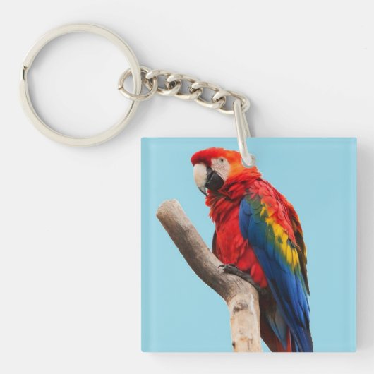 Colorful Parrot Portret Foto Sleutelhanger (Voorkant)