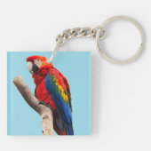 Colorful Parrot Portret Foto Sleutelhanger (Achterkant)