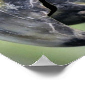 Colorful Parrot Poster (Hoek)