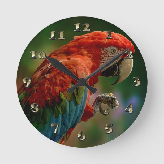 Colorful Parrot Ronde Klok (Voorkant)