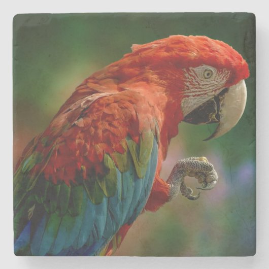 Colorful Parrot Stenen Onderzetter (Voorkant)