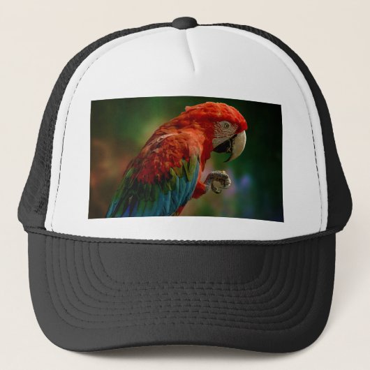 Colorful Parrot Trucker Pet (Voorkant)