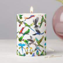 Colorful Parrots Art
