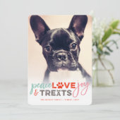 Colorful Peace Love Joy behandelt Hondenliefhebber Feestdagenkaart (Staand voorkant)