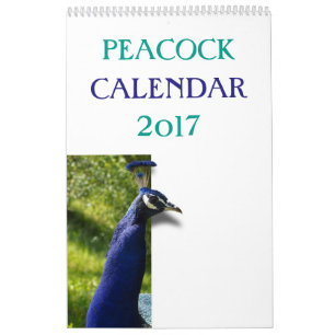 Colorful Peacock 2017 Kalender
