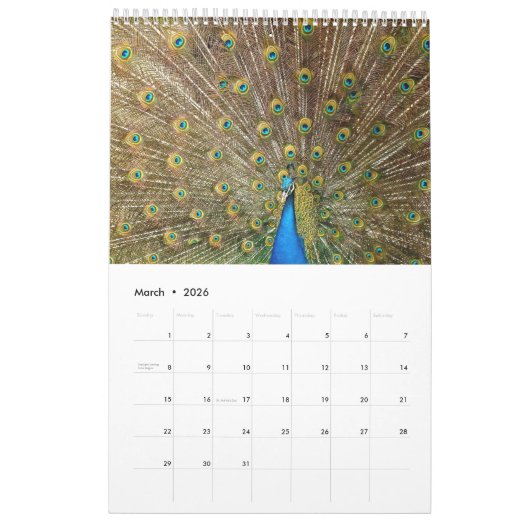 Colorful Peacock 2017 Kalender (Mar 2026)