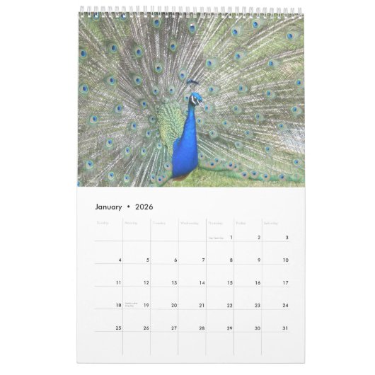 Colorful Peacock 2017 Kalender (Jan 2026)