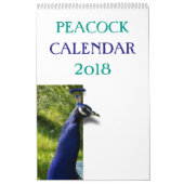 Colorful Peacock 2017 Kalender (Hoes)