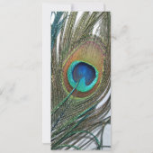 Colorful Peacock Birthday-uitnodigingen Kaart (Achterkant)