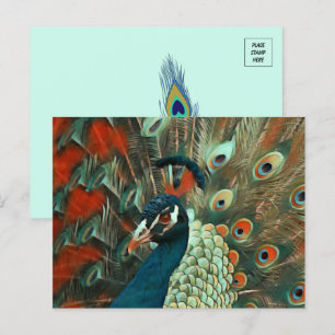 Colorful Peacock Briefkaart