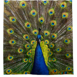 Colorful peacock douchegordijn