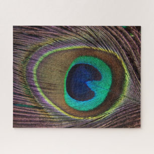 Colorful Peacock Feather   Aangepast Legpuzzel