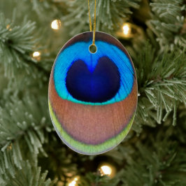 Colorful Peacock Feather Eyespot Keramisch Ornament