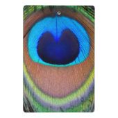Colorful Peacock Feather Eyespot Mini Klembord (Achterkant)